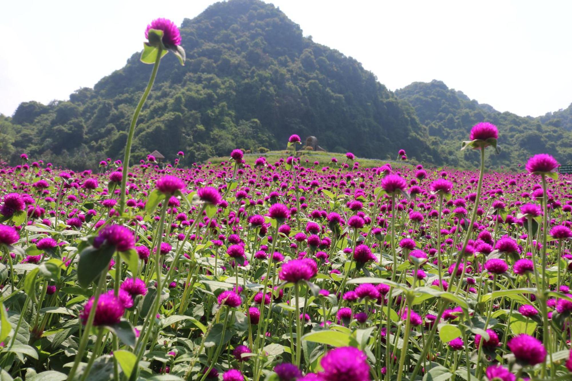 Thung Nham Resort Ninh Binh Exterior photo